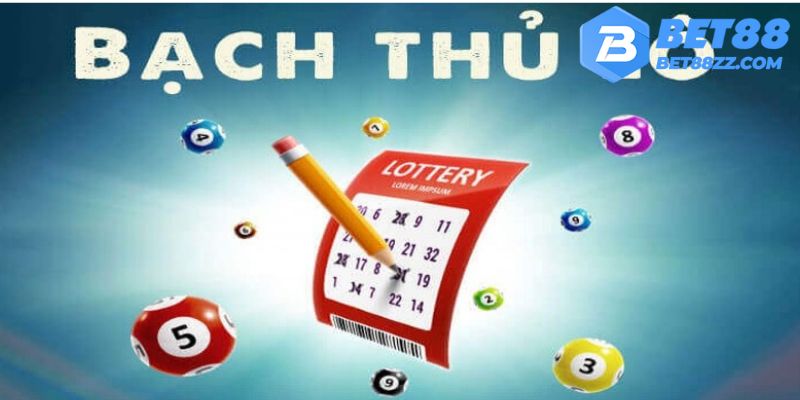 Bạch thủ lô mang đến rất nhiều lợi ích tuyệt vời cho khách hàng